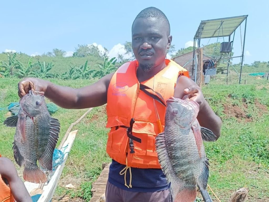 Fish_farm_management